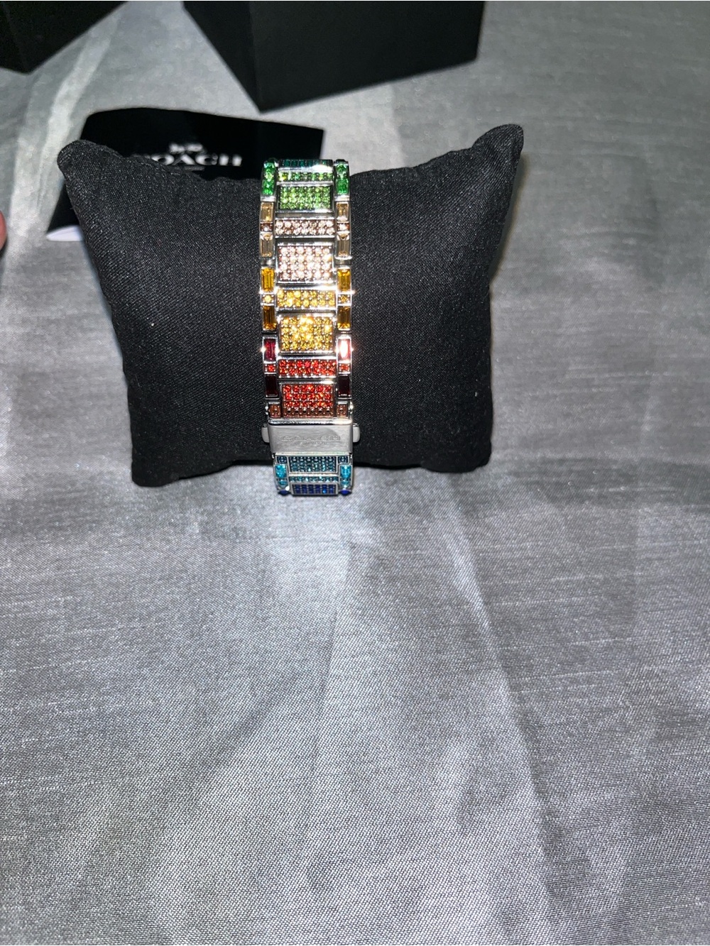 Cary Rainbow Coach Watch - Picture 8 of 14
